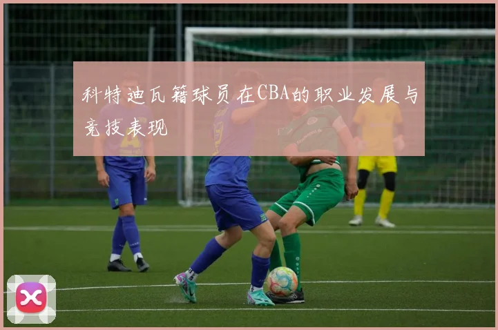 科特迪瓦籍球员在CBA的职业发展与竞技表现