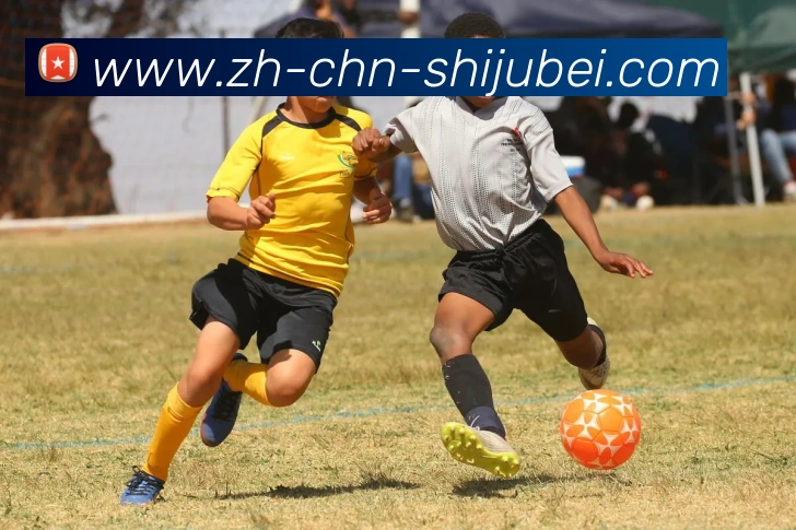 世界杯买球APP 封面图