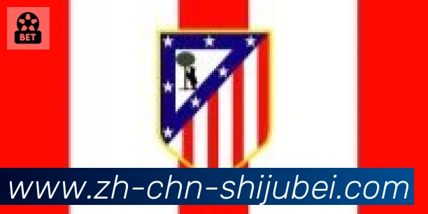 世界杯买球合作伙伴